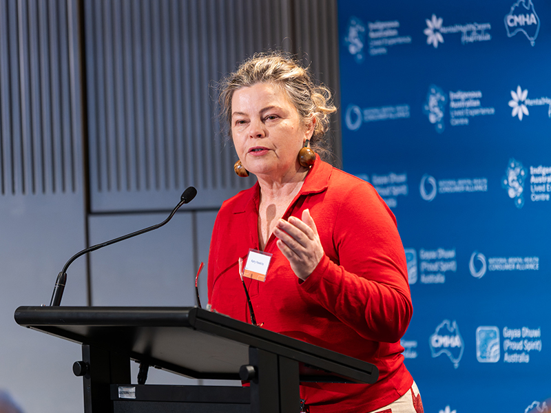 Kerry Hawkins CEO Community Mental Health Australia